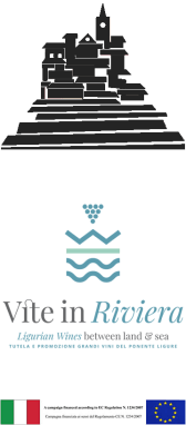Viticoltori Ingauni logo